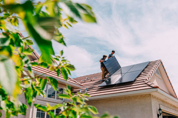 Best Roof Gutter Cleaning  in Carleton, MI