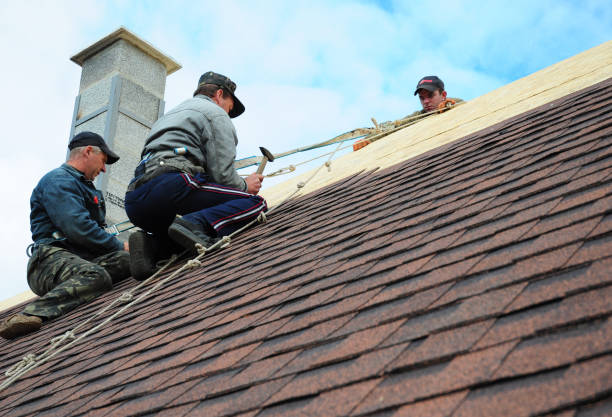 Best Roof Waterproofing Services  in Carleton, MI